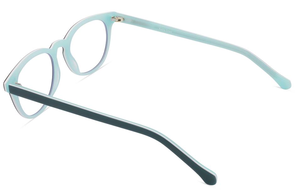 Roebling K2 eyeglasses in spearmint viewed from rear