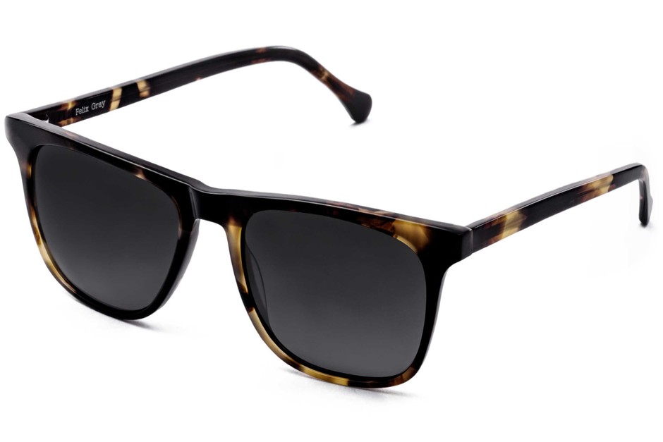 Jemison sunglasses in whiskey tortoise viewed from angle